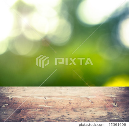 Blur summer forest bokeh Blur summer forest bokeh 35361606