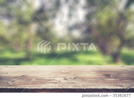 Park blur background Park blur background 35361677