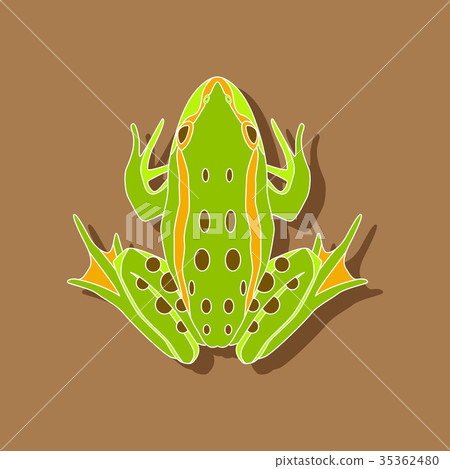toad paper sticker on stylish background toad paper sticker on stylish background 35362480
