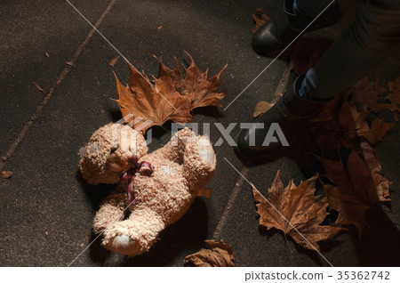Abbandoned Teddy bear in leaves in the night park 35362742