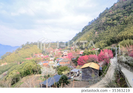 櫻花 村落,Cherry blossoms, Sakura 35363219