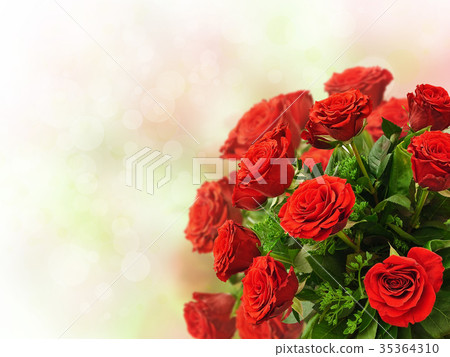 roses roses 35364310