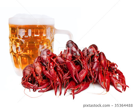crawfishes 35364488