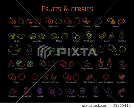 Outline colorful linear web icon set Fruit berries Outline colorful linear web icon set Fruit berries 35365413