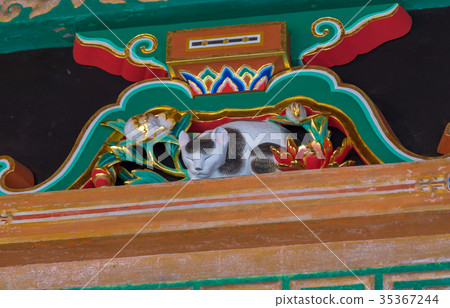 Sleeping cat Nikko Toshogu Sleeping cat Nikko Toshogu 35367244