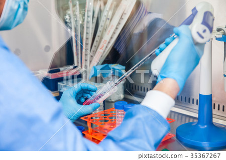 Scientist working in a laminar air flow cabinet Scientist working in a laminar air flow cabinet 35367267