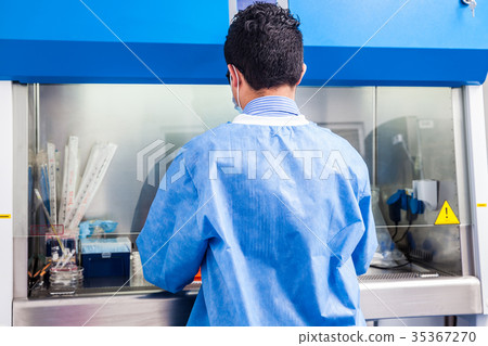Scientist working in a laminar air flow cabinet  35367270