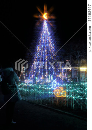 Shining tree 35368467