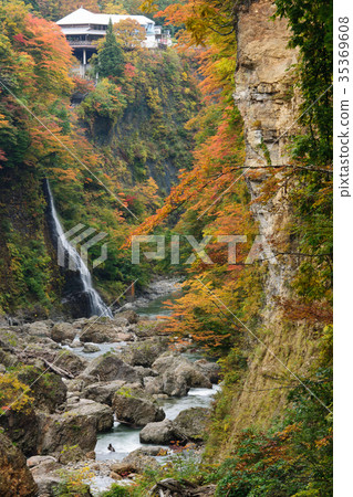 Koankyo of autumn leaves Akita Koankyo of autumn leaves Akita 35369608