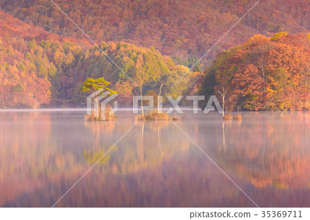 Lake Shinohara of autumnal leaves Lake Shinohara of autumnal leaves 35369711