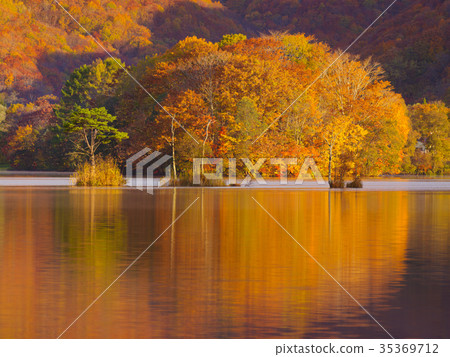 Lake Shinohara of autumnal leaves Lake Shinohara of autumnal leaves 35369712