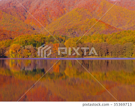 Lake Shinohara of autumnal leaves 35369713