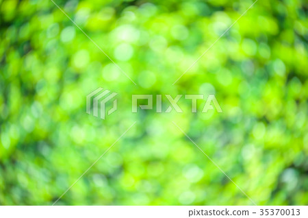 green nature bokeh background green nature bokeh background 35370013