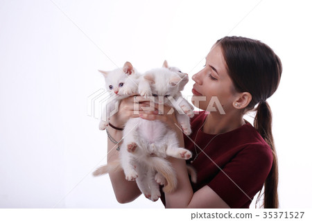 many white kittens in the hands of women 35371527