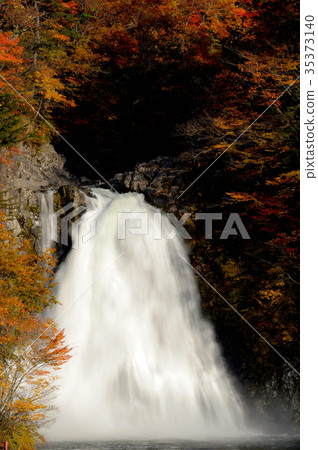 Fall legal waterfall evening view Akita 35373140
