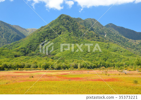 Oda Daigahara and Grass Autumn Leaves 35373221
