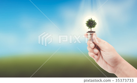 hand holding a light bulb with energy 35373733