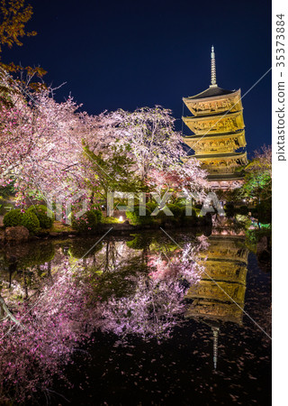 京都 照 月