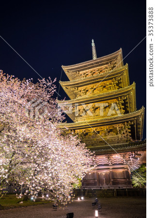 京都 照 月
