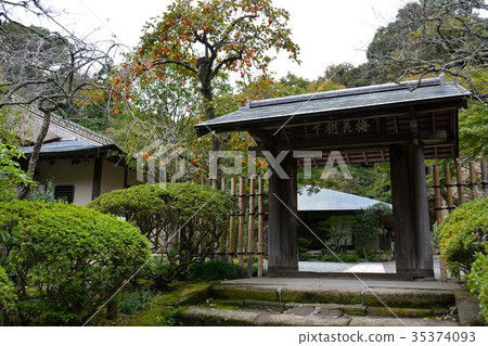 Kamakura Gozan, landscape of Jochi temple garden Kamakura Gozan, landscape of Jochi temple garden 35374093