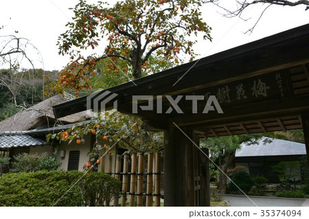 Kamakura Gozan, landscape of Jochi temple garden 35374094