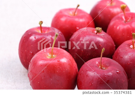 Rinko公主 35374381