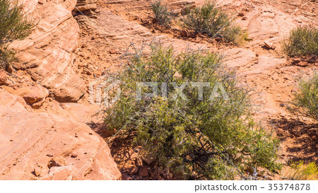 Horseshoe bent america wilderness 35374878