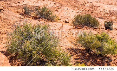 Horseshoe bent america wilderness 35374880