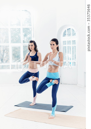 Studio shot of a young women doing yoga exercises Studio shot of a young women doing yoga exercises 35375646