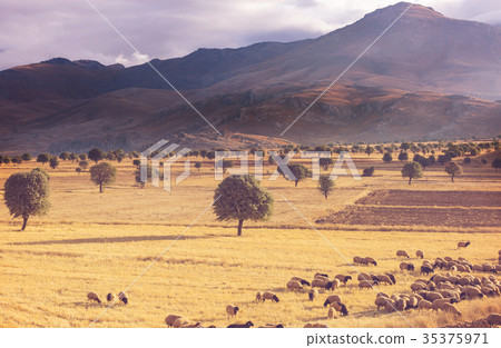 Turkey landscapes 35375971