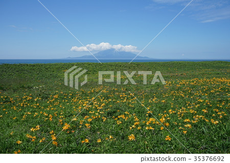 Rishiri Island seen from Sarobetsu wilderness 35376692