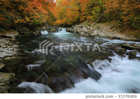 Autumnal Leg Falls Autumnal Leg Falls 35376909