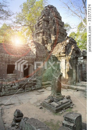 Ta Prohm temple in Angkor Wat (Siem Reap, Cambodia Ta Prohm temple in Angkor Wat (Siem Reap, Cambodia 35377374