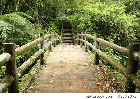 Taoyuan Sanmin Bat Cave 35378052