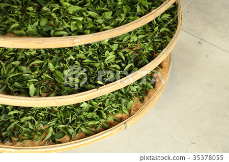 茶葉 茶葉 35378055