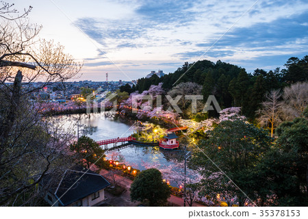 茂原公園夜景櫻花照亮和黎明(千葉縣茂原市)*拍攝於2017年4月 茂原公園夜景櫻花照亮和黎明(千葉縣茂原市)*拍攝於2017年4月 35378153