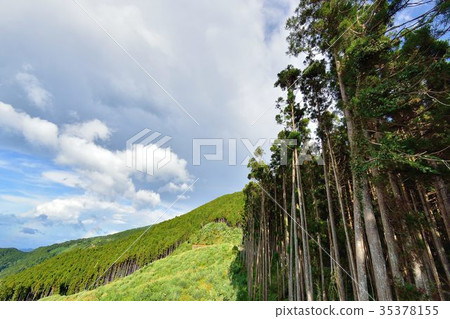 山上雲霧-新竹五峰羅山林道 Mountains and clouds in the Hsinchu, 山上雲霧-新竹五峰羅山林道 Mountains and clouds in the Hsinchu, 35378155
