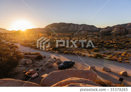 Single Traveller in Joshua Tree 35378265