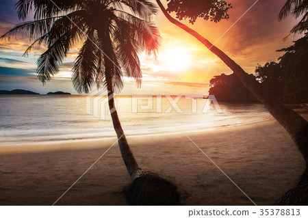 beautiful sunset sky at sea beach  35378813