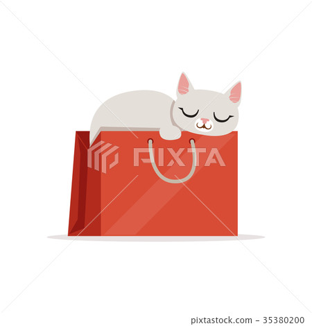 Adorable white cat sleeping in a red shopping bag 35380200