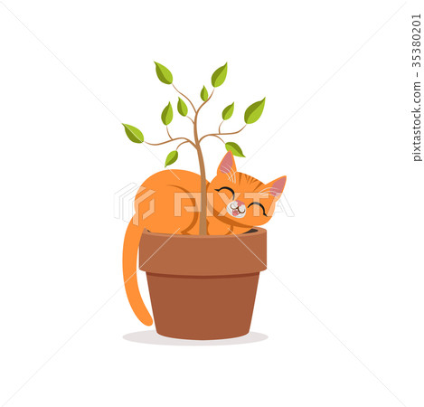 Cute funny red cat sleeping in a flower pot with a 35380201