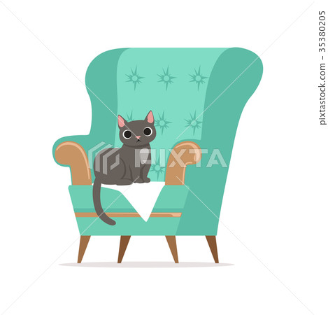 Cute gray cat sitting on a turquoise armchair 35380205