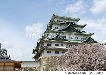 Spring Nagoya Castle Spring Nagoya Castle 35380854