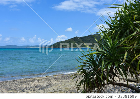 The coast of the South Island The coast of the South Island 35381699