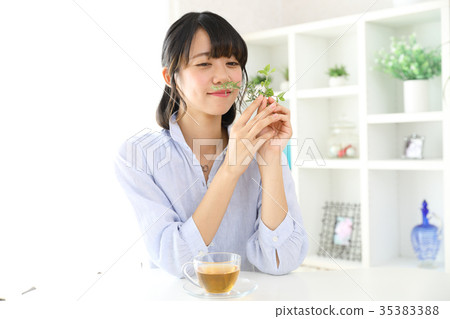 婦女喝涼茶 婦女喝涼茶 35383388
