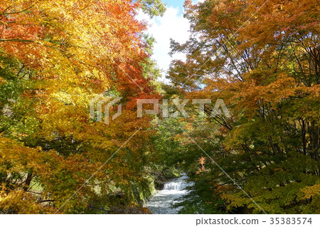 Ushibushigawa法式樓梯[秋葉] 35383574