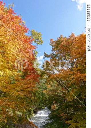 Ushibushigawa法式樓梯秋葉 Ushibushigawa法式樓梯秋葉 35383575