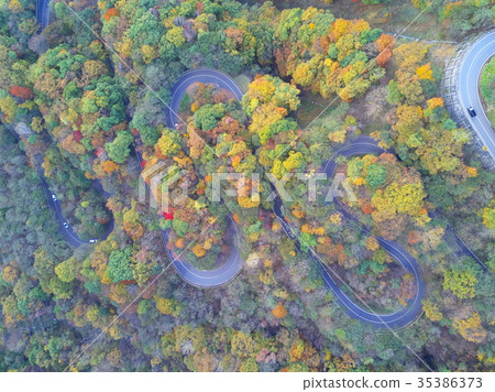 Aerial view of Iroha slope Aerial view of Iroha slope 35386373