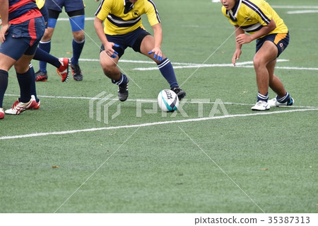 橄欖球 35387313