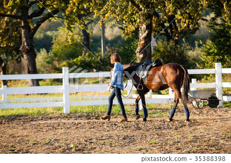 Beautiful girl with horse Beautiful girl with horse 35388398